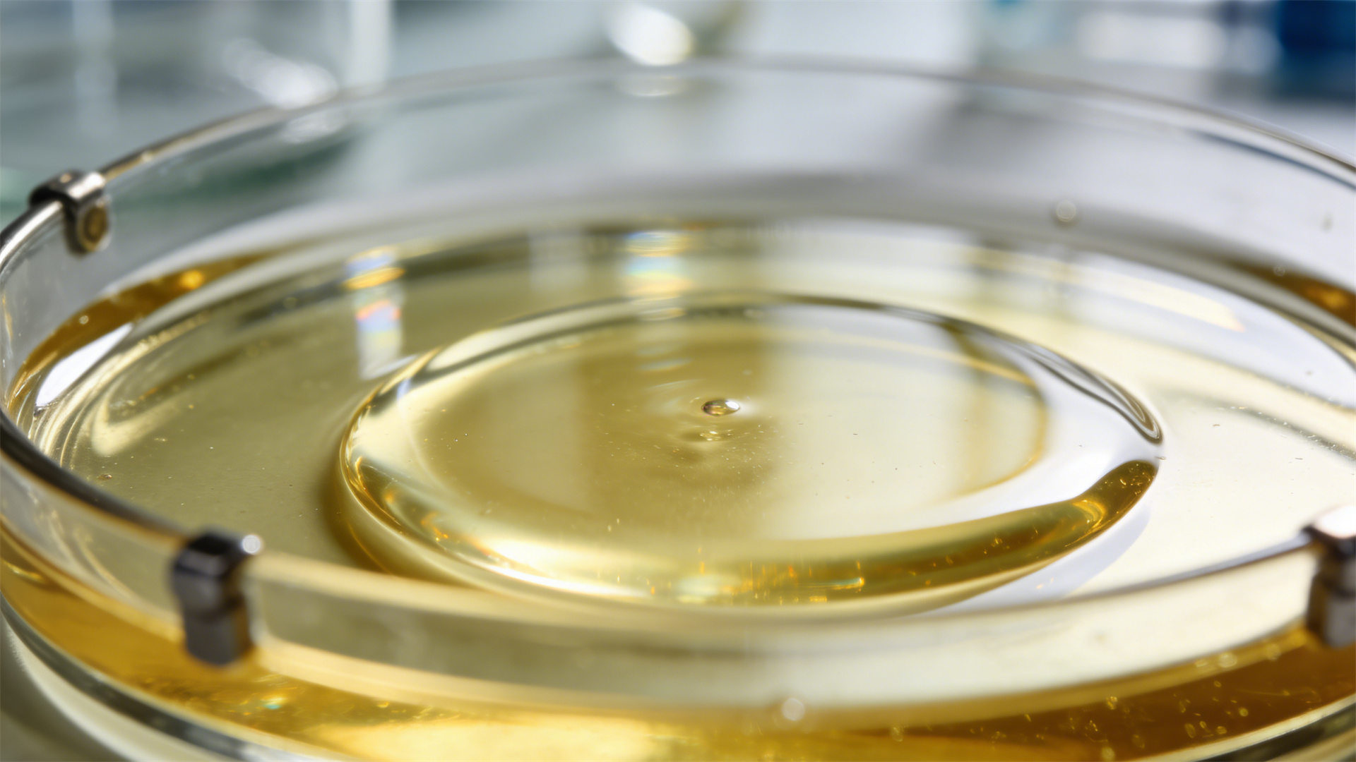 2026 Canine Nutrition Standards: The Golden Ratio of Protein, Fat, and Carbohydrates