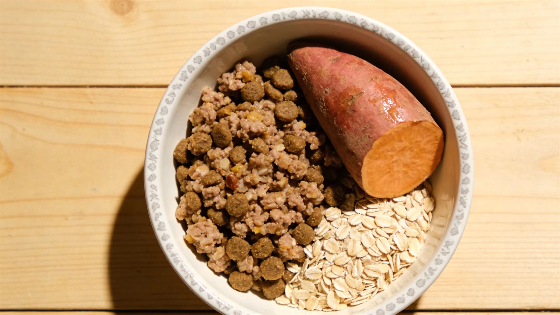 2026 Canine Nutrition Standards: The Golden Ratio of Protein, Fat, and Carbohydrates