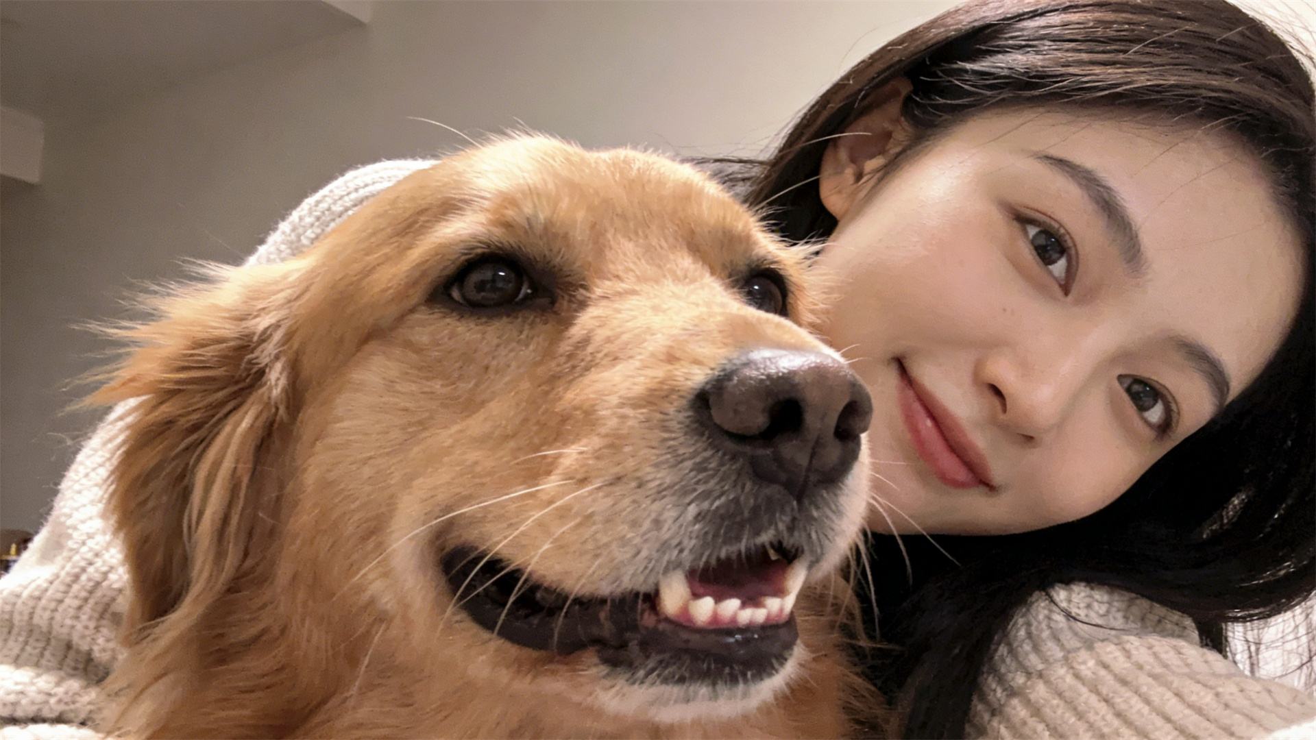 2026 Canine Oral Care Survey: Over 80% of Pet Owners Are Starting to Pay Attention to Teeth Cleaning