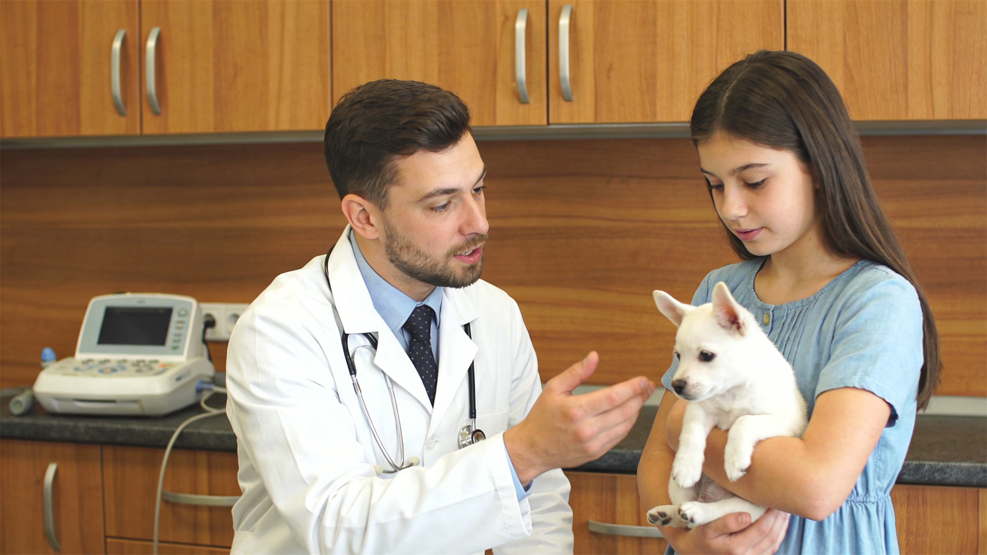 2026: The Golden Age for Puppy Socialization – Community Puppy Classes Become the First Lesson in Pet Ownership