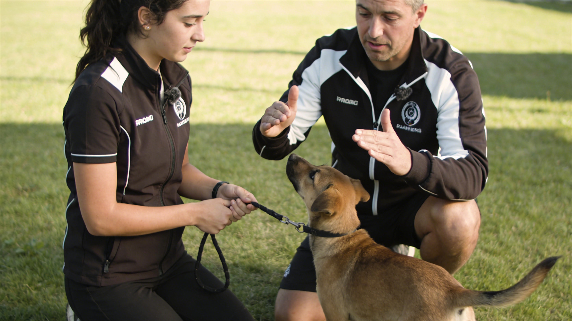 2026: The Golden Age for Puppy Socialization – Community Puppy Classes Become the First Lesson in Pet Ownership
