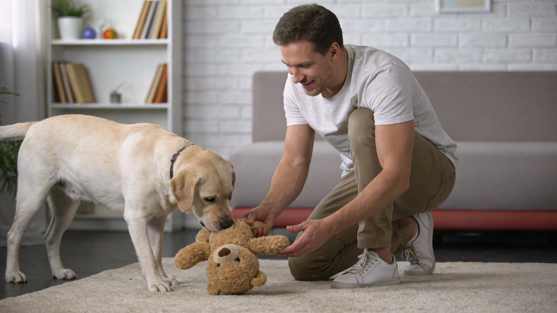 Advanced Name Recognition: Teaching your dog to find the 