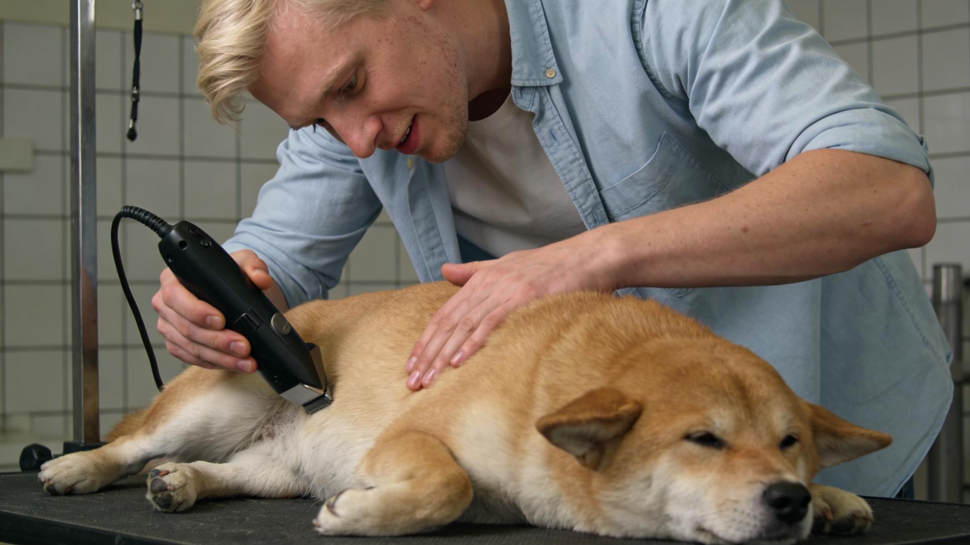 Alleviating grooming phobia: Helping dogs overcome their fear of scissors and clippers