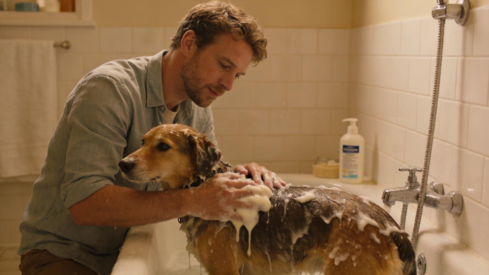 Are dog conditioners a rip-off? Scientific solutions for repairing dry, brittle fur.