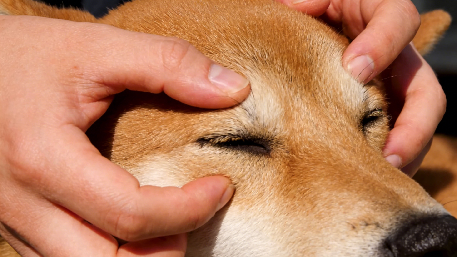 At-home eye care: How to properly use eye wash to relieve tear stains