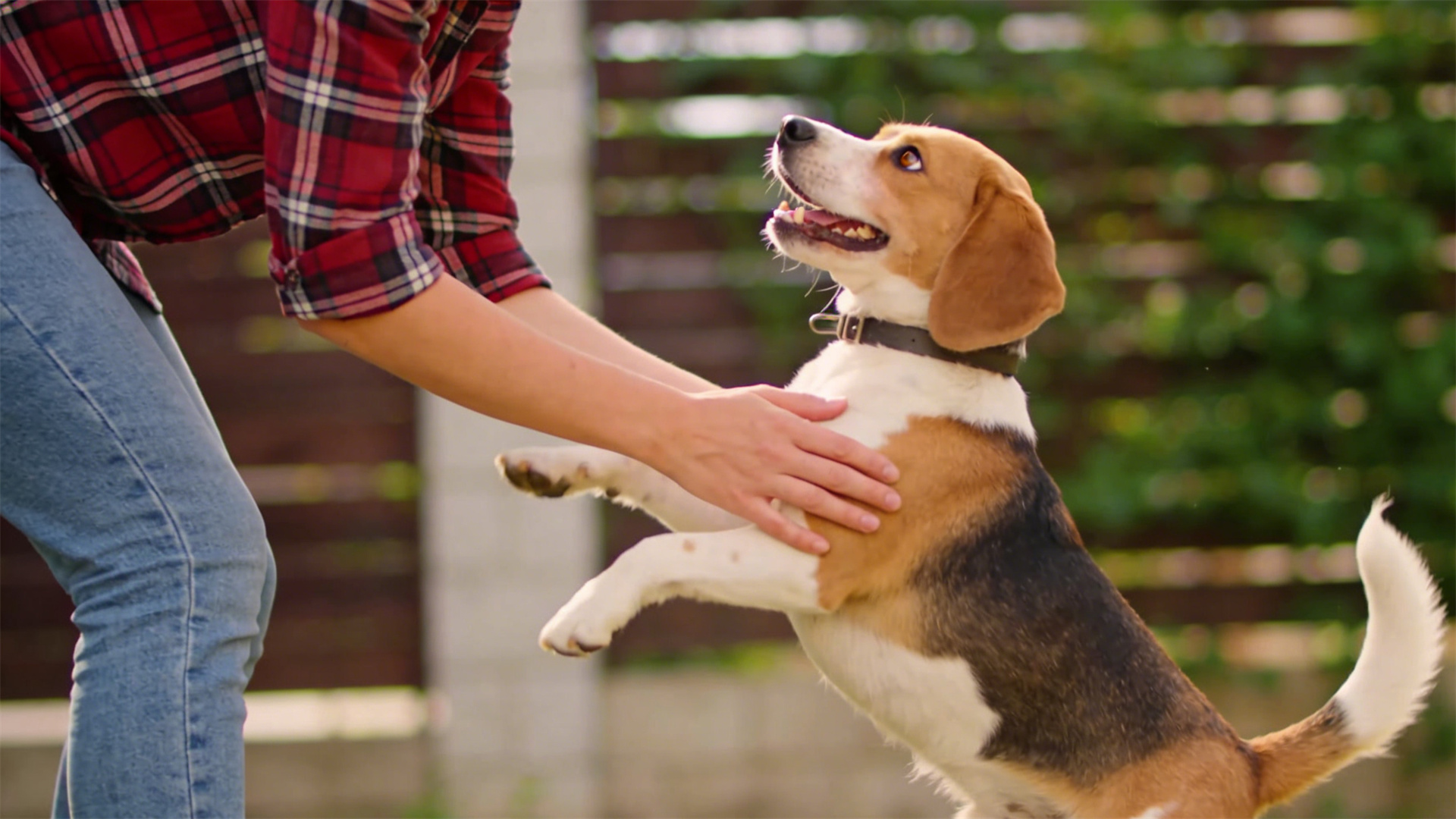 At-home eye care: How to properly use eye wash to relieve tear stains