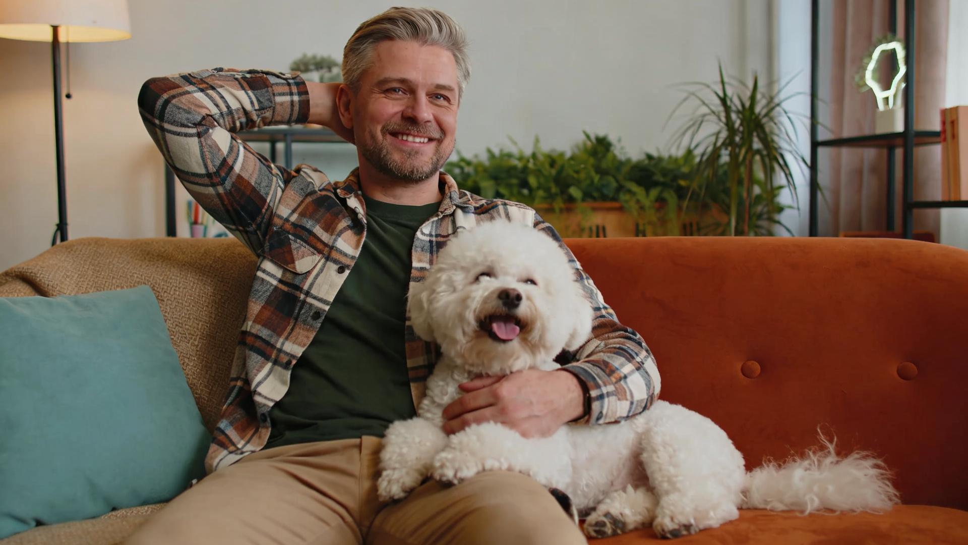 Basic Home Bichon Frise Haircut: Techniques for Achieving a Neat Face Shape