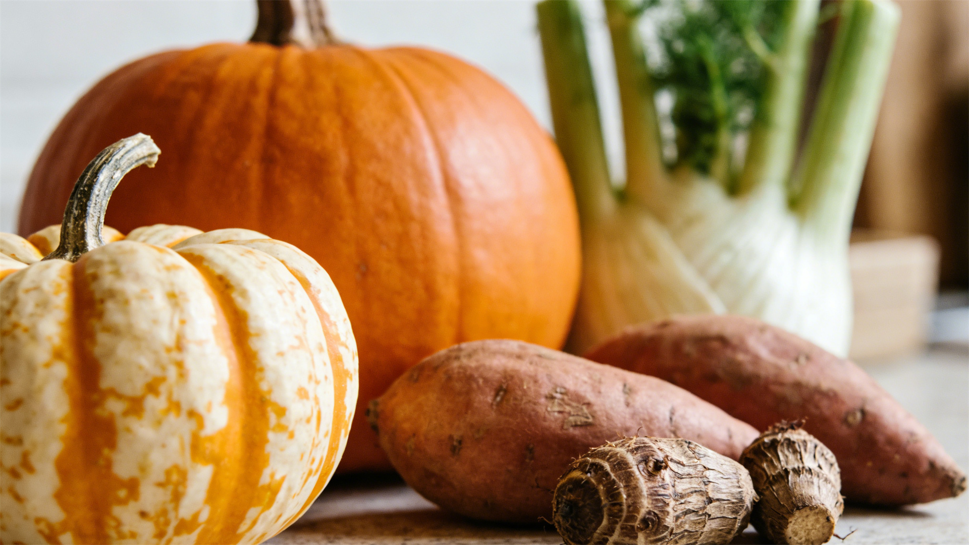 Canine Gut Microbiota: The Practical Role of Probiotics and Prebiotics in Improving Soft Stools