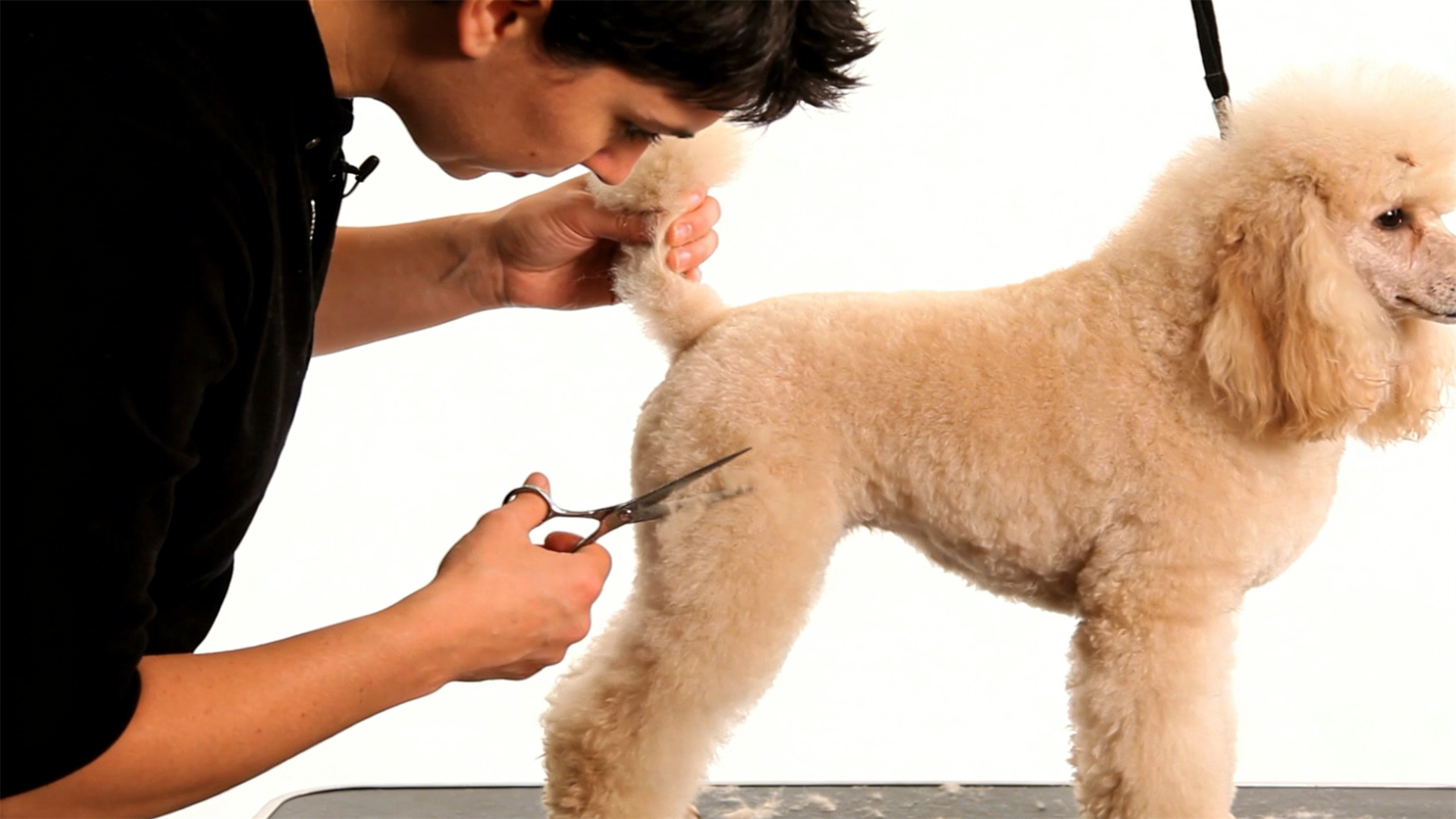 Classic beauty styles