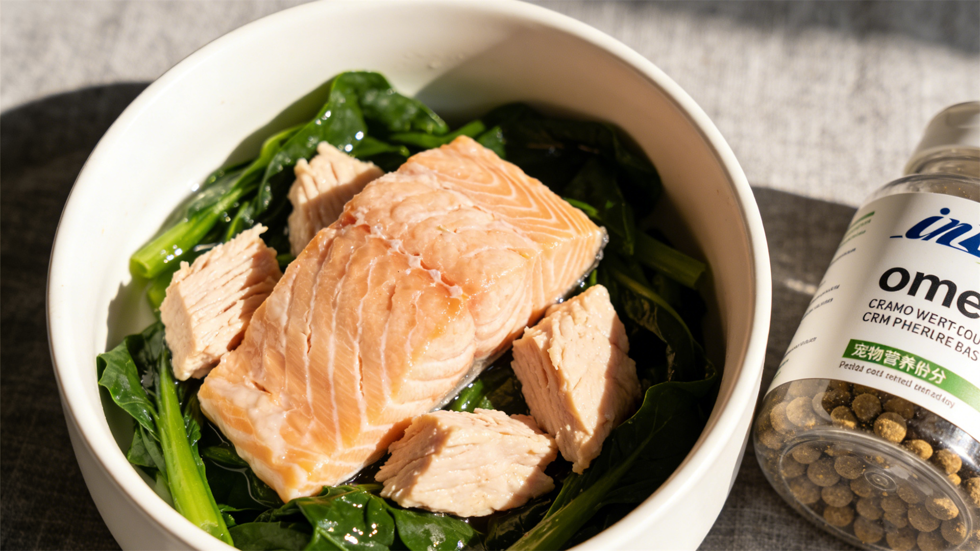 Cognitive training: Using educational toys to slow down brain degeneration in older dogs