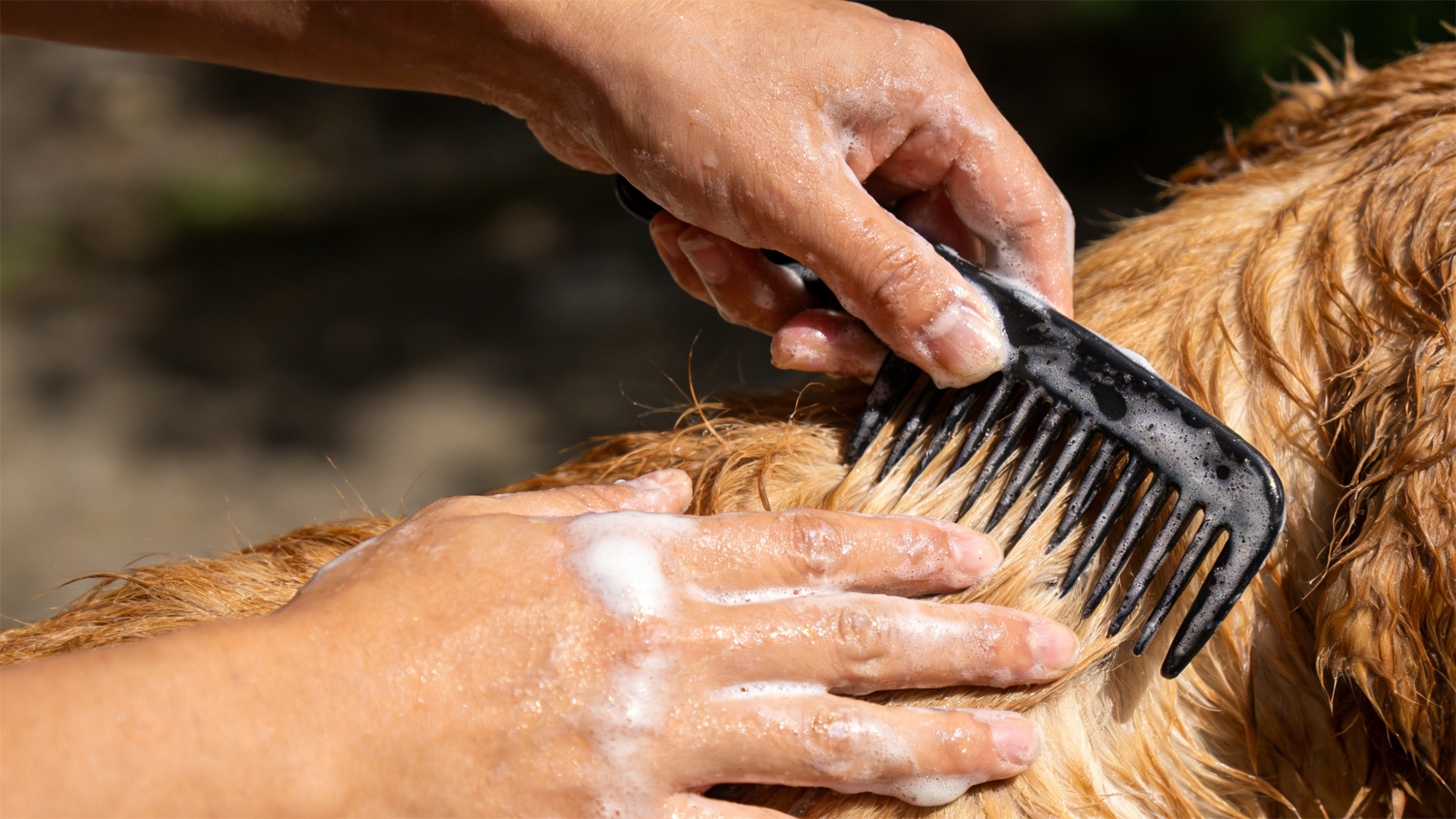 Dog conditioner and nourishing hair mask: A scientific solution for repairing dry hair.