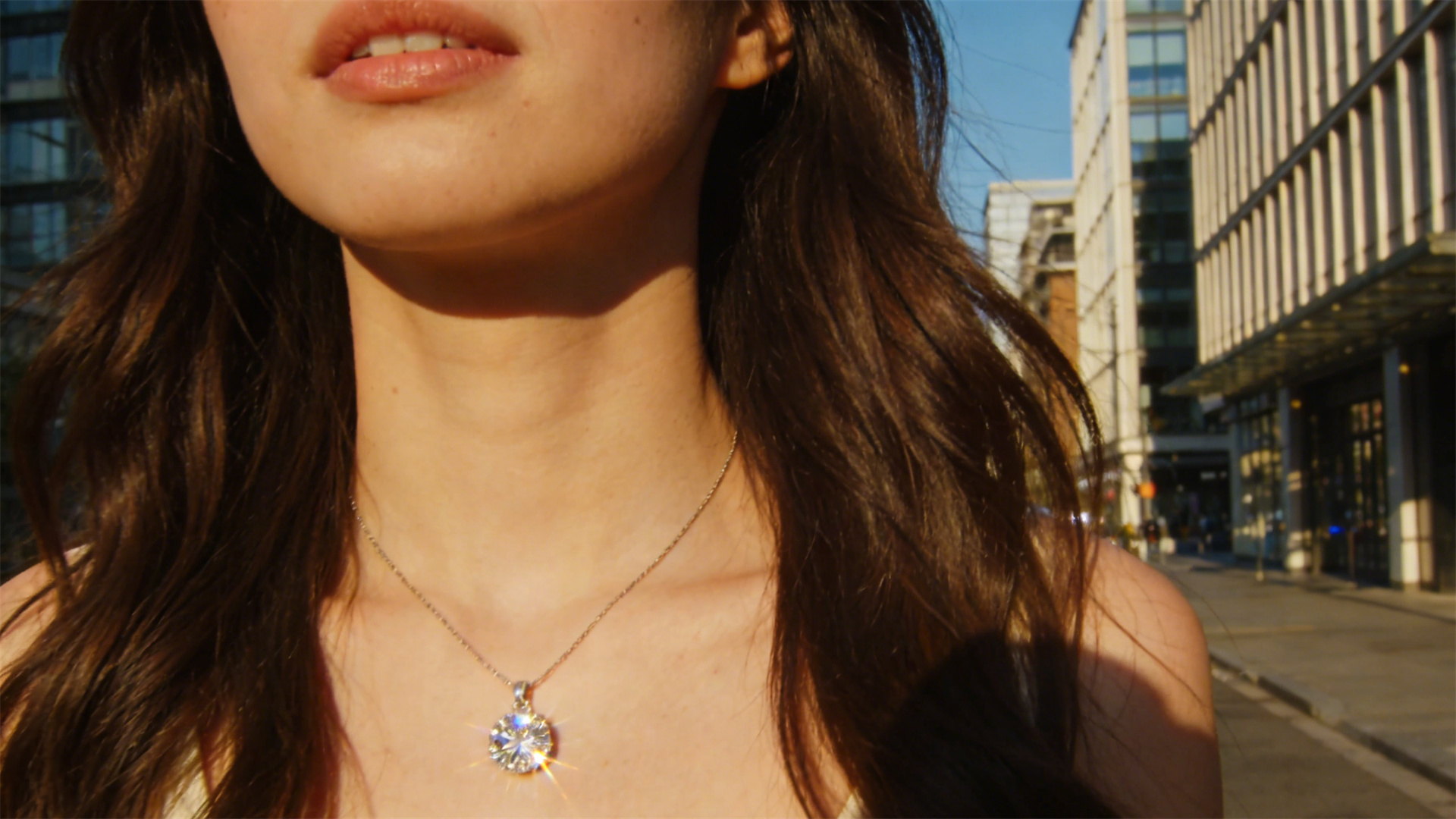 Dog cremated remains diamonds: Minimalist memorial services gain wider acceptance among young people in 2026.