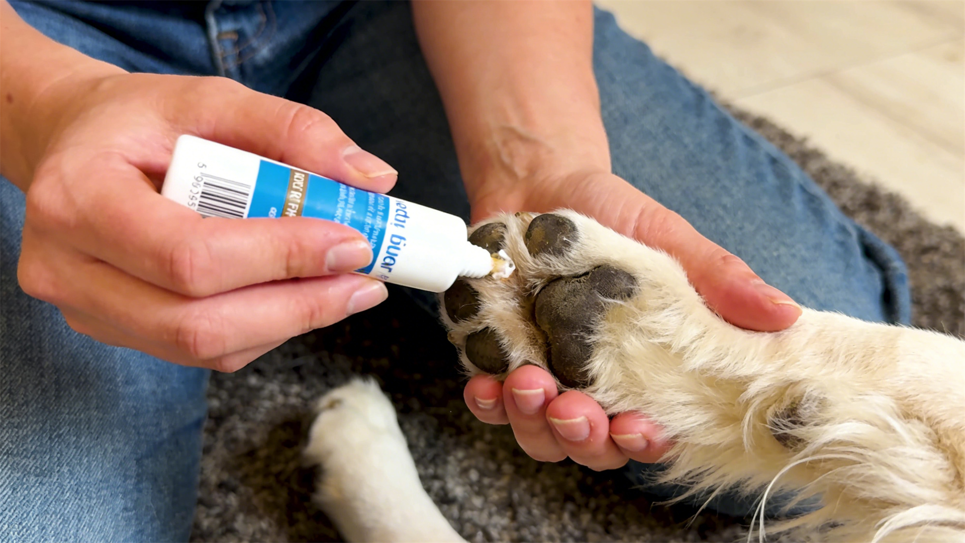 Dog Paw Health Grooming: Nail Trimming and Paw Pad Care