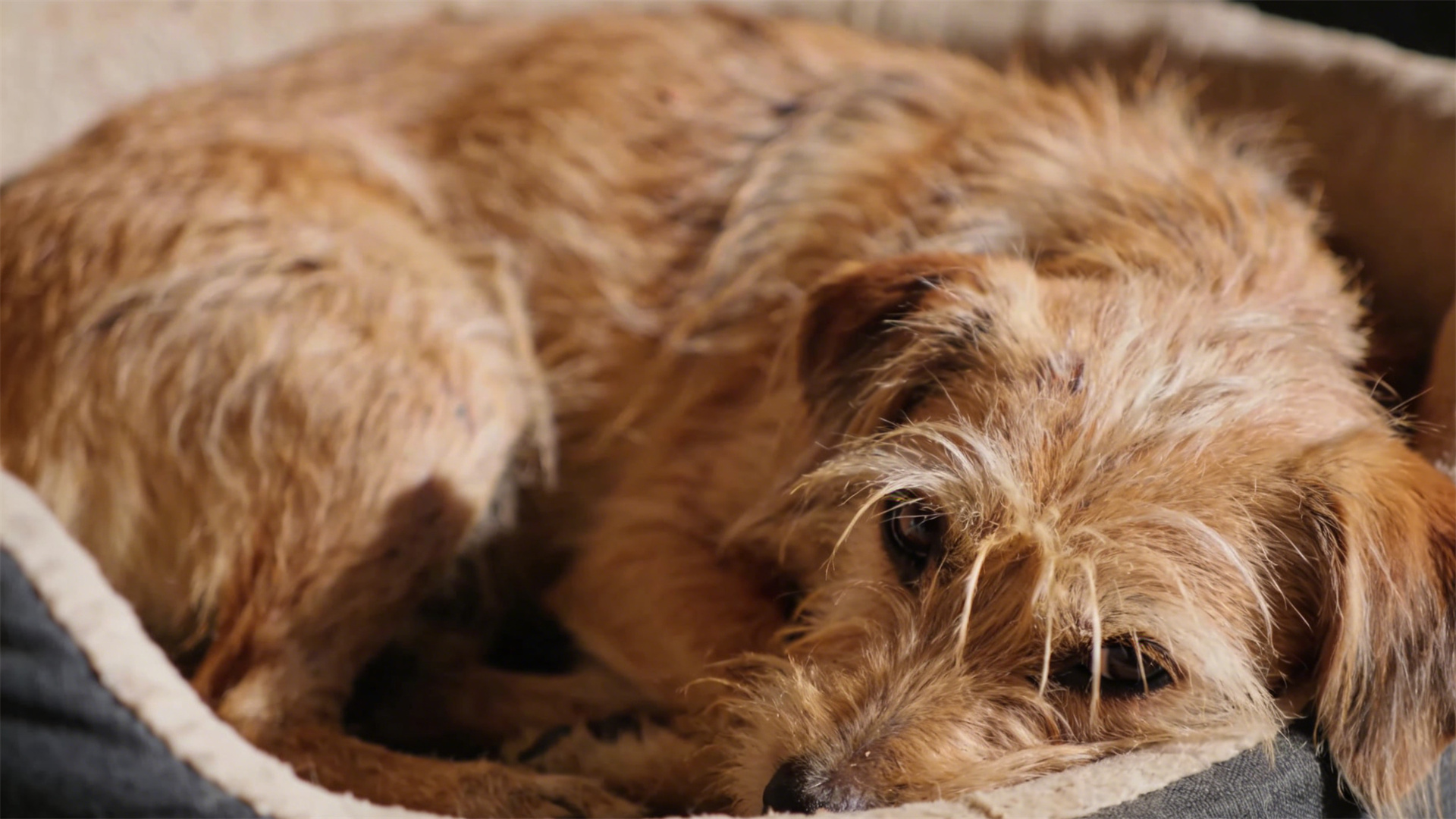 Early warning of infectious diseases