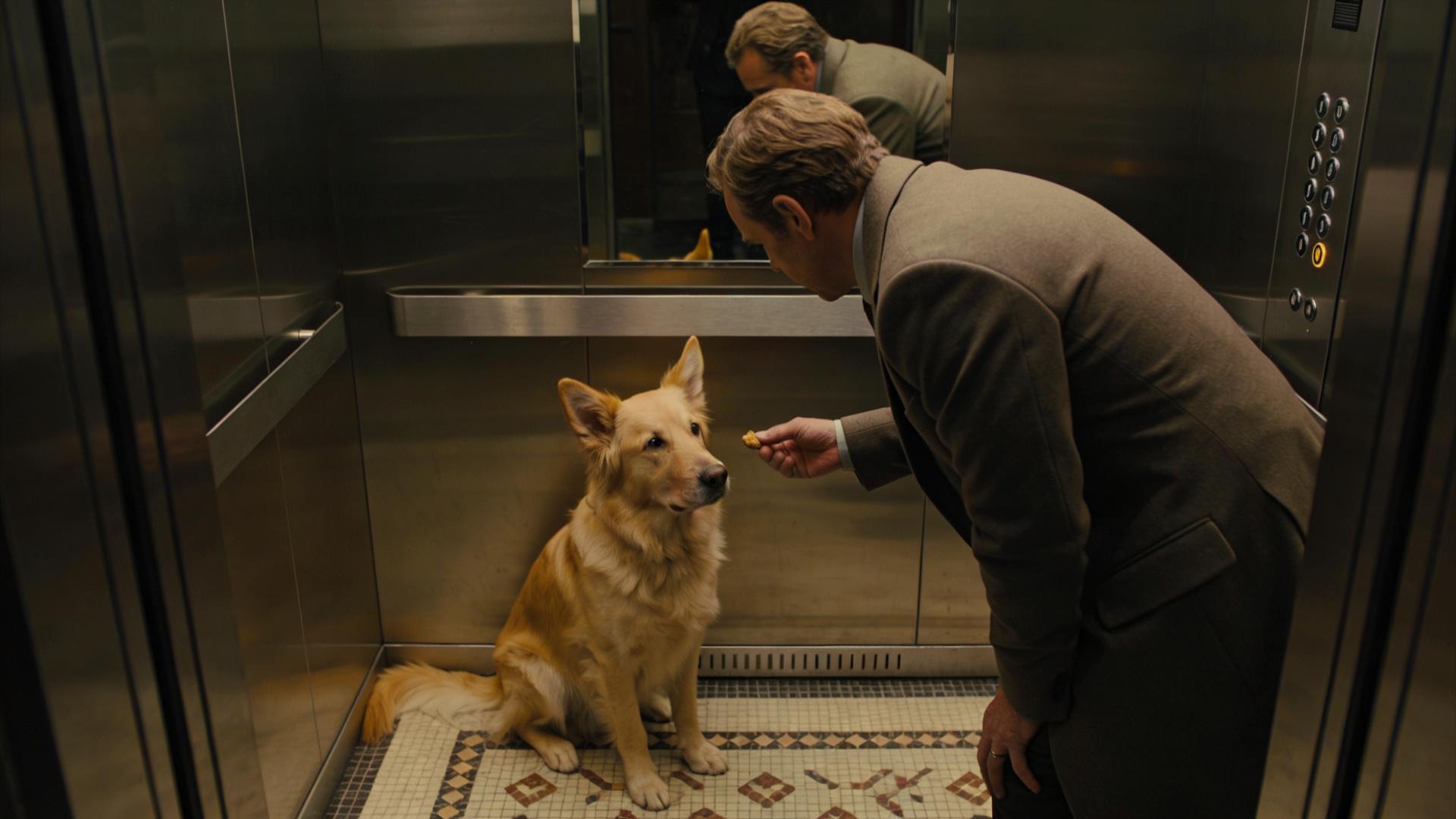 Elevator etiquette training: Calm control when entering confined spaces