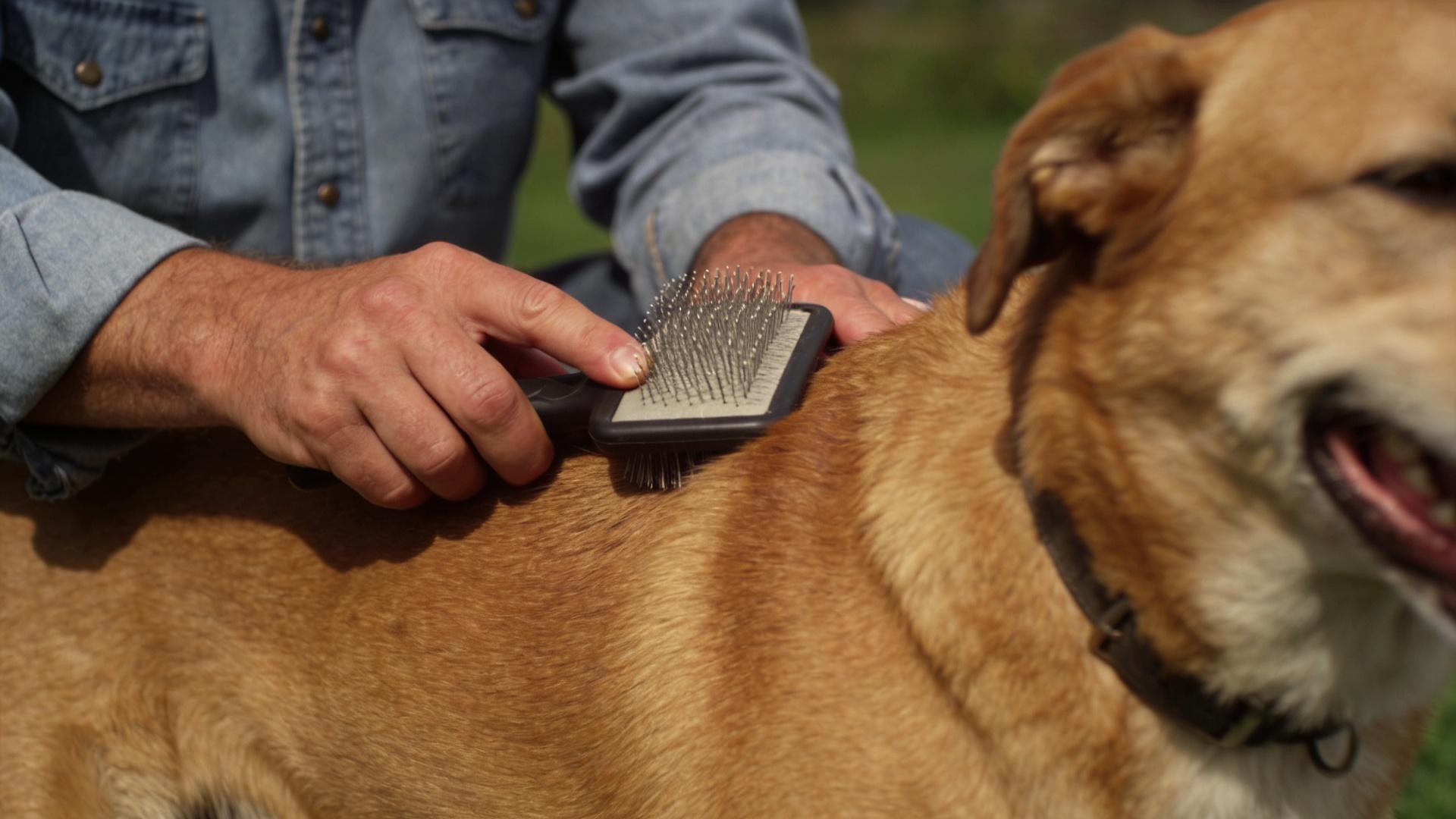 Essential tools for home beauty: Proper selection and use of combs, pin brushes, and detangling brushes