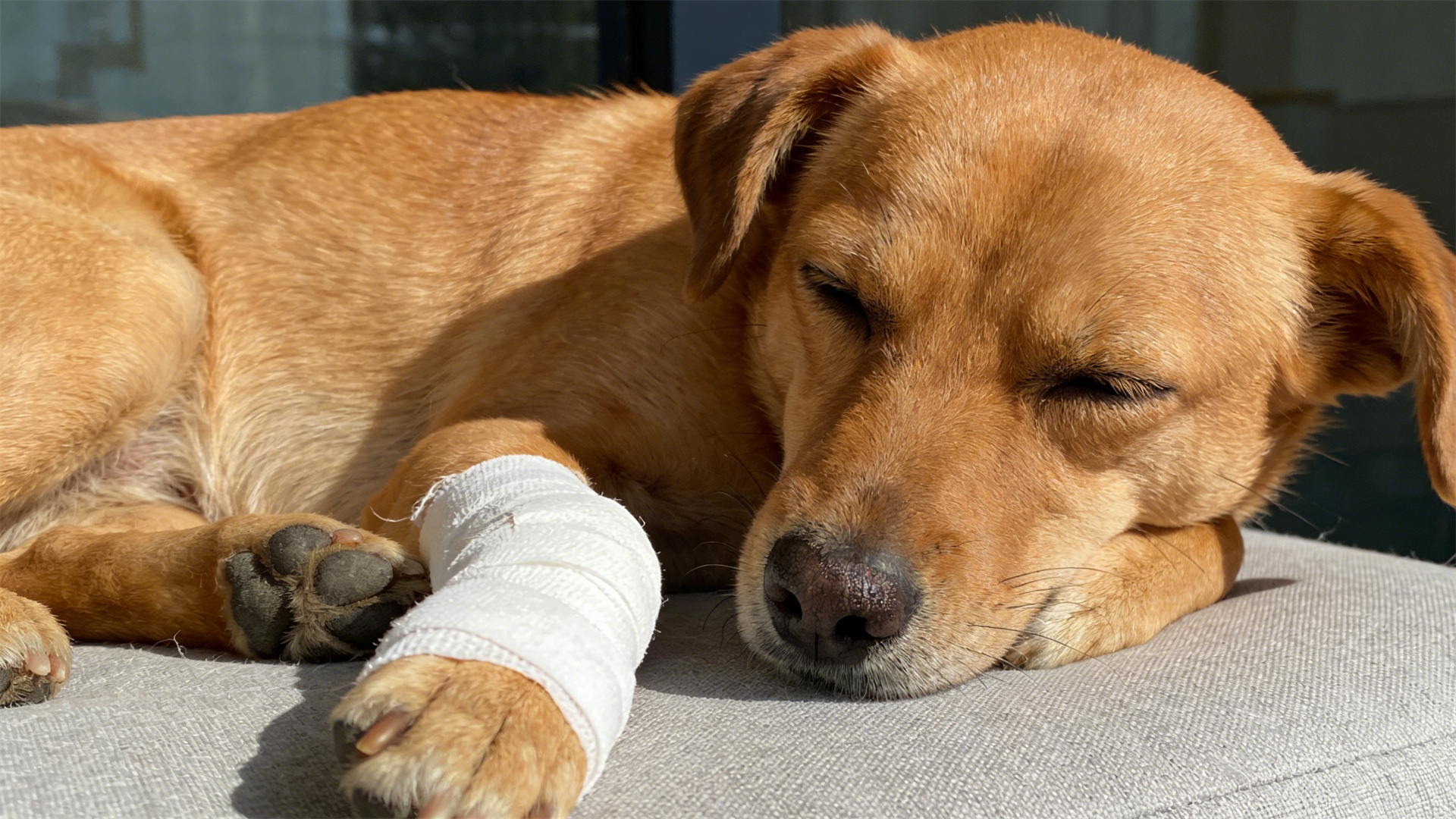 First aid for nails clipped too short: essential home remedies for styptic powder and wound treatment.