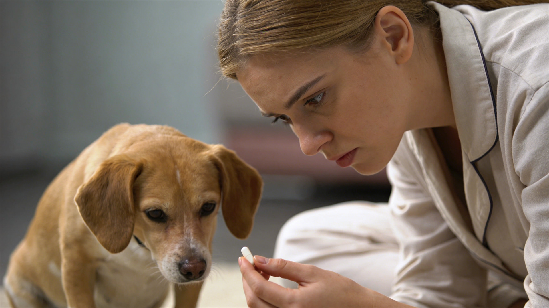 First aid kit and common medicines