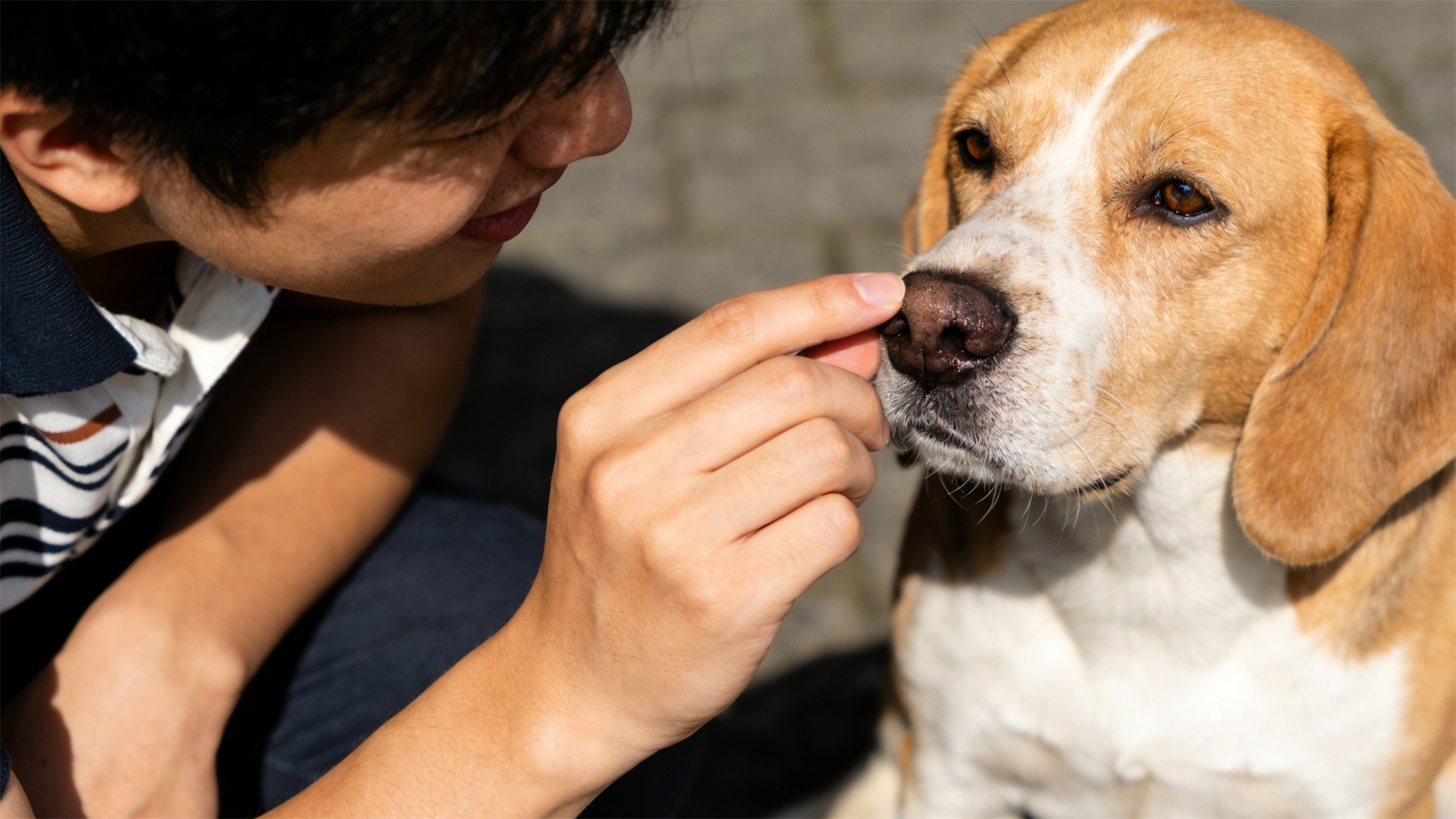 Full-cycle physical examination checklist