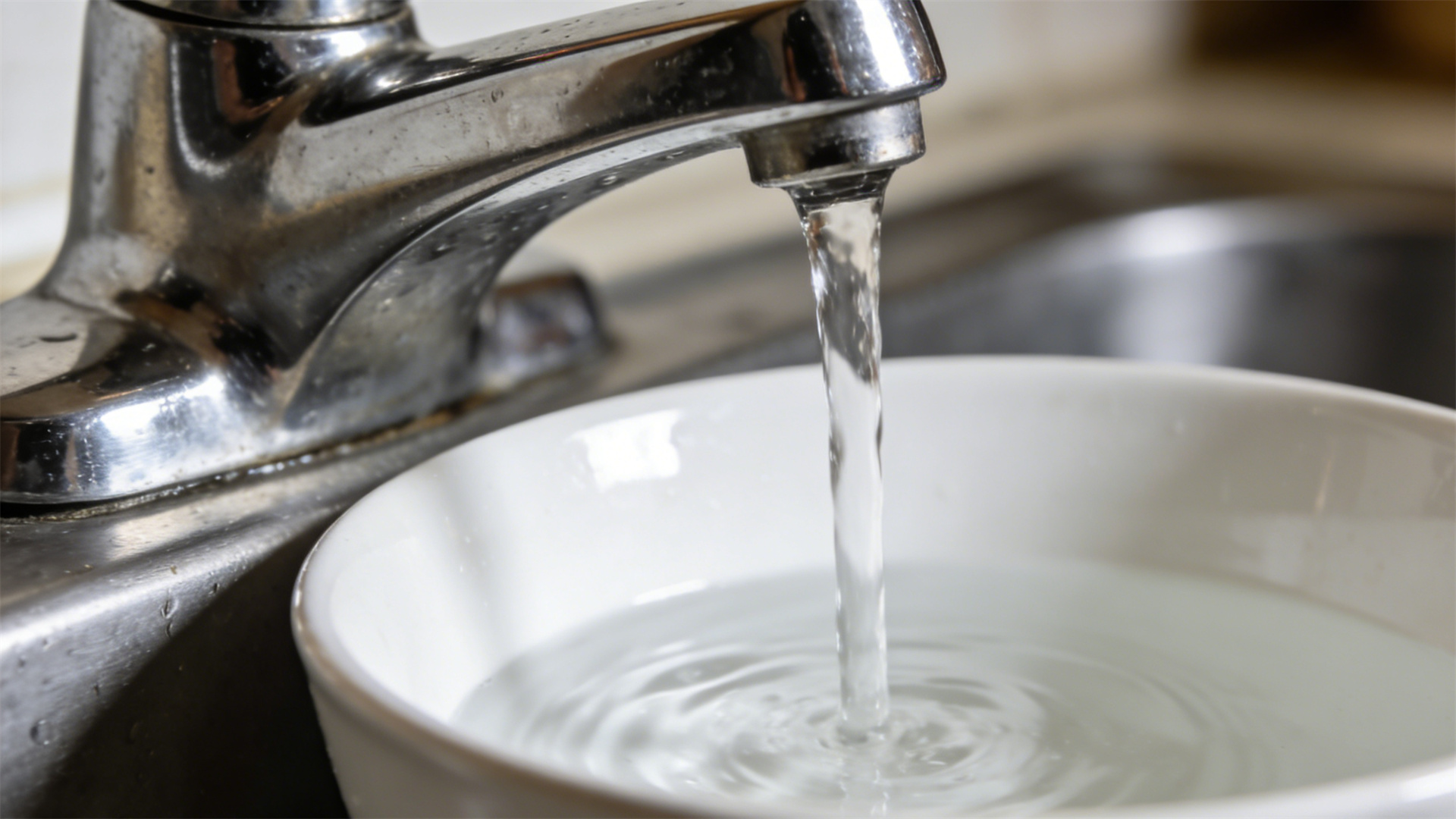 Hidden Concerns about Drinking Water Health: The Effects of Tap Water, Purified Water, and Mineral Water on Dogs' Kidneys