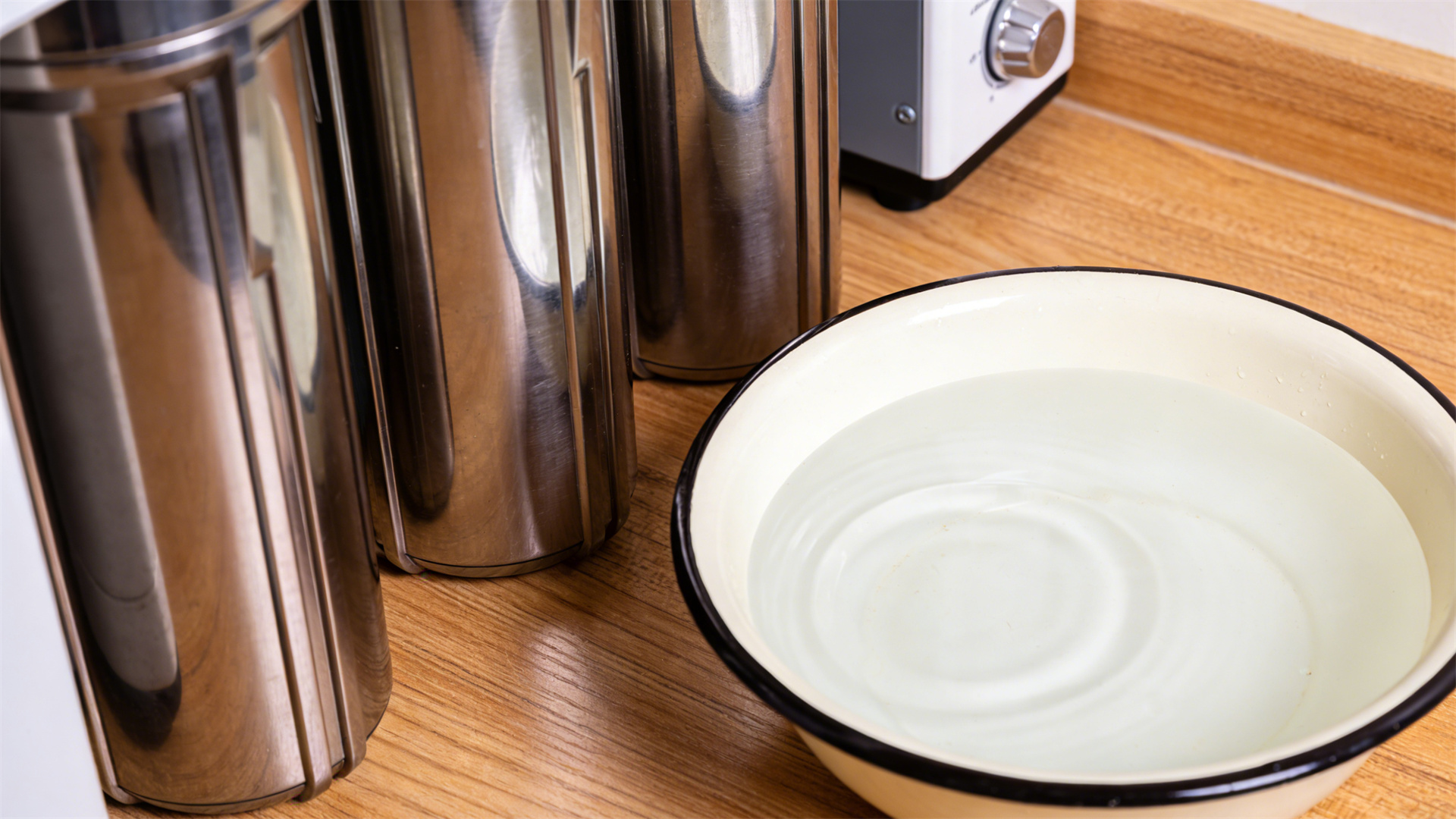 Hidden Concerns about Drinking Water Health: The Effects of Tap Water, Purified Water, and Mineral Water on Dogs' Kidneys