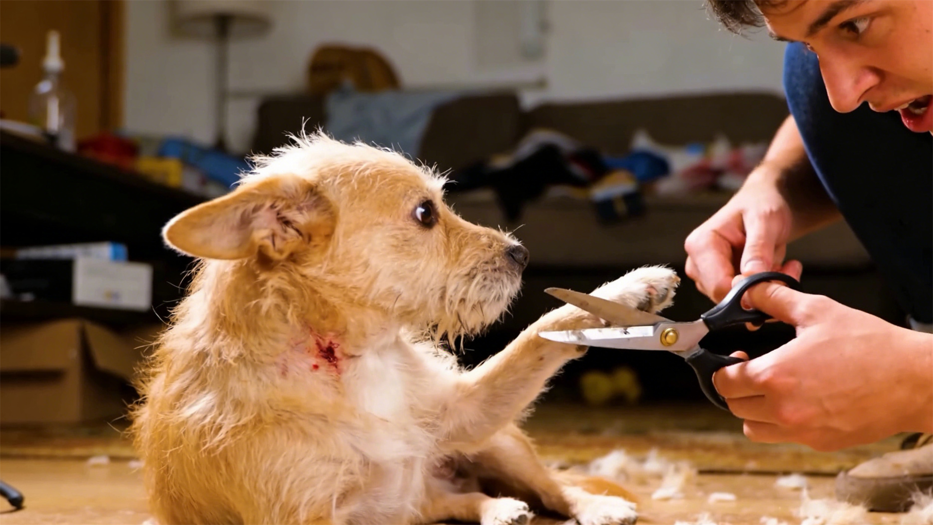 Home facial grooming: Not only does it look good, but it also scientifically cleans up hair around the eyes and mouth.