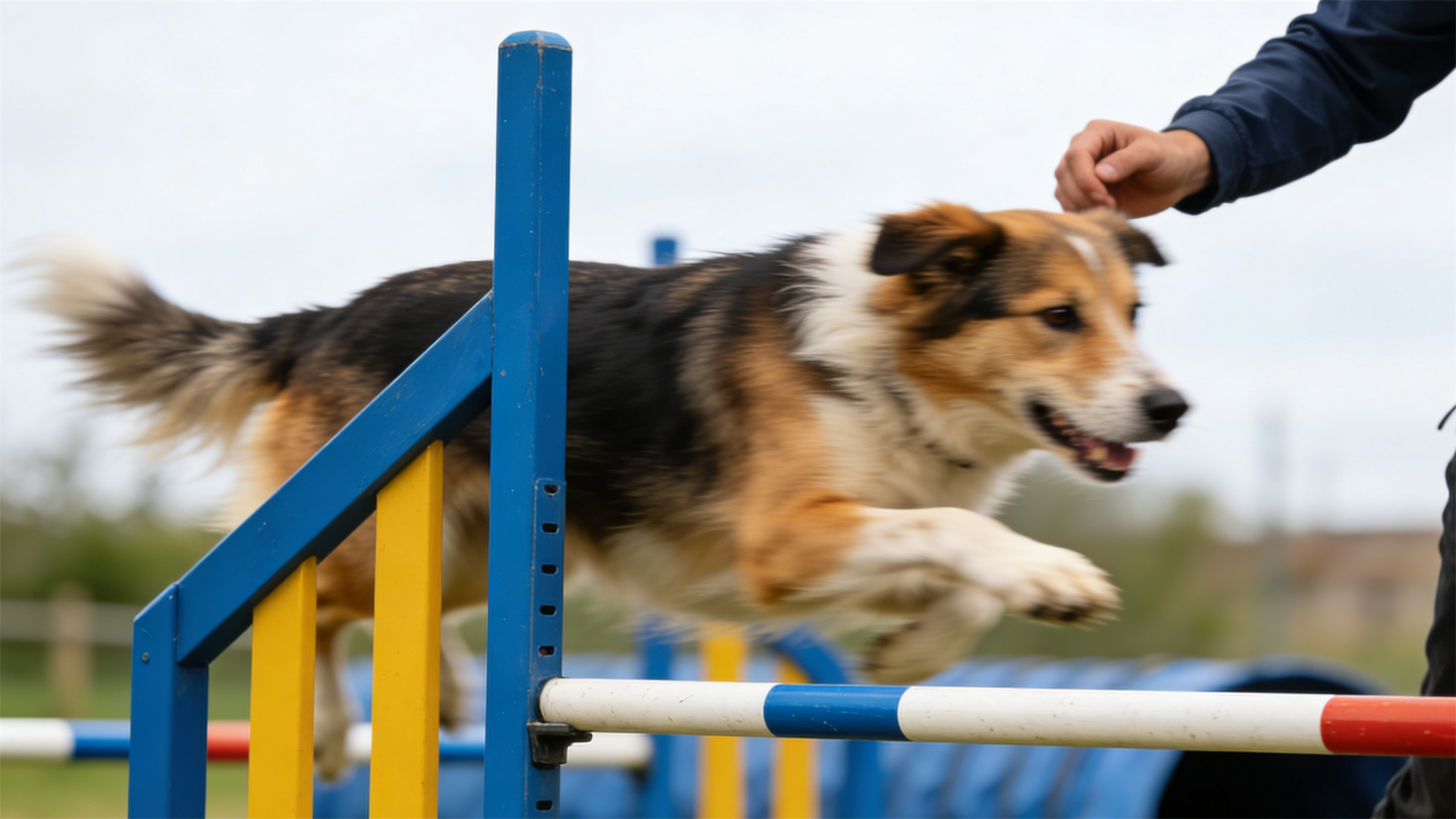 Intellectual development