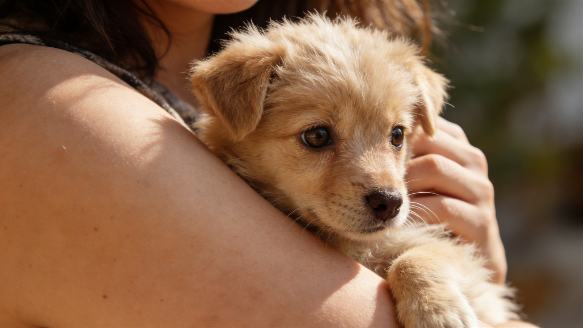 Level 1: Socialization and Order in the Cub Stage