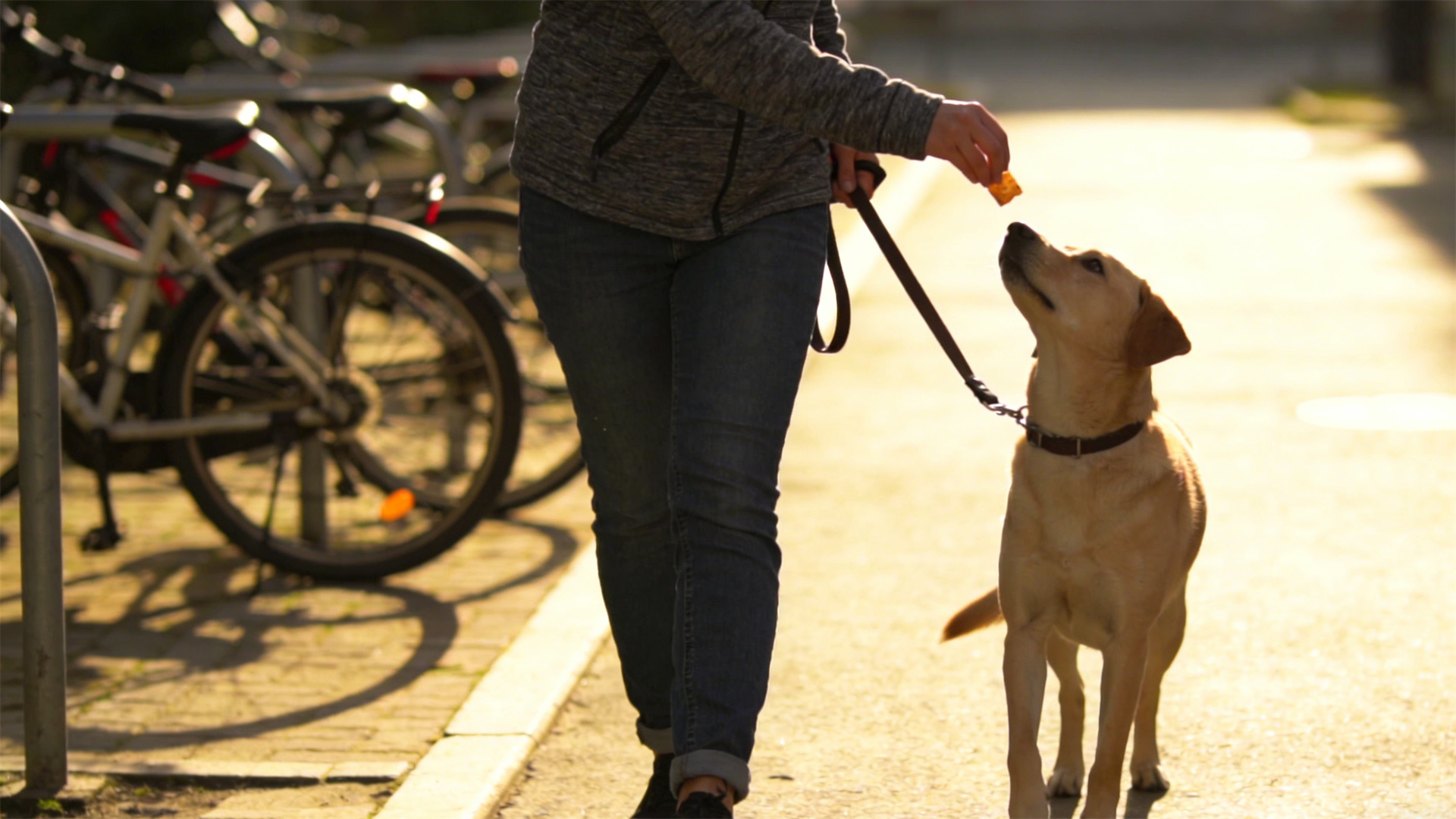 Level 2: Outdoor High-Interference Resistance Training