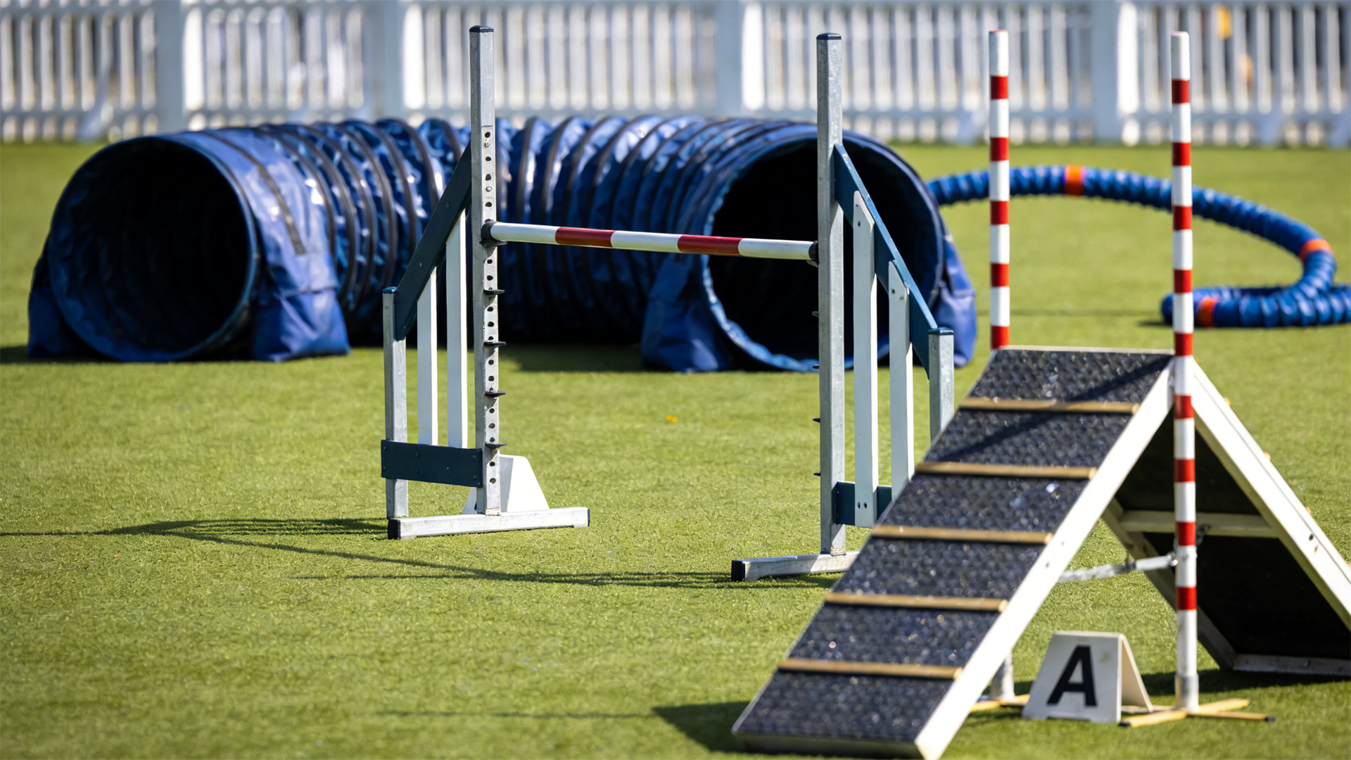 Level 3: Competitive and Work Skills