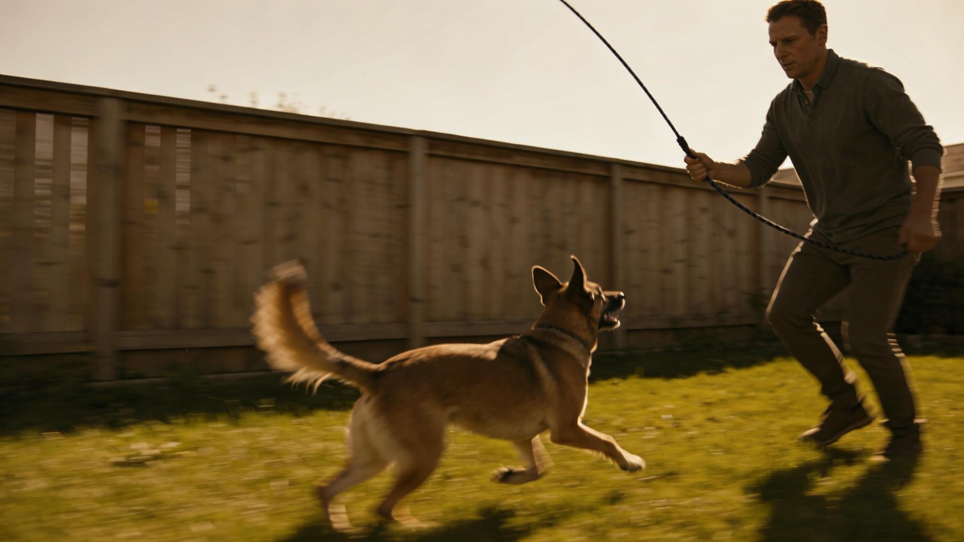 Long-distance recall: Accurately calling back a running dog in the center of the park.