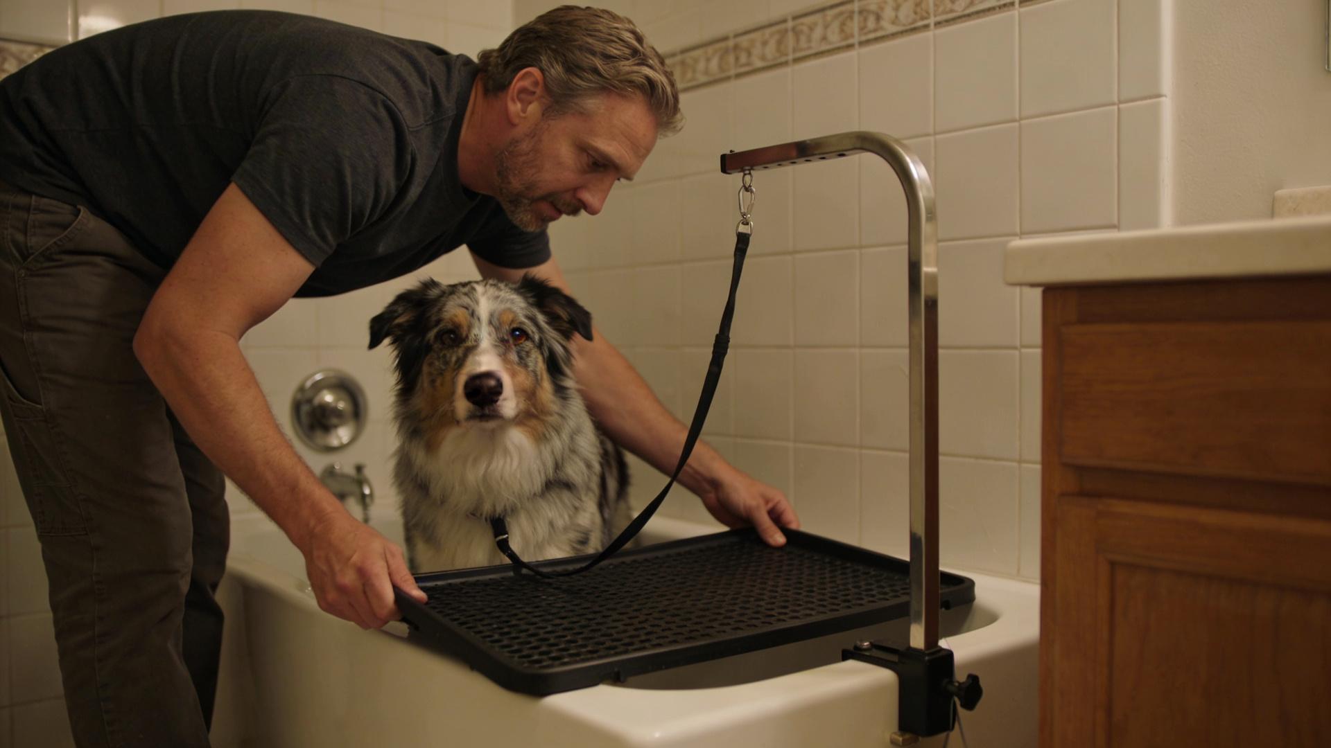 No More Need for Help with Home Bathing: How to Transform Your Bathroom into a Professional Pet Grooming Room