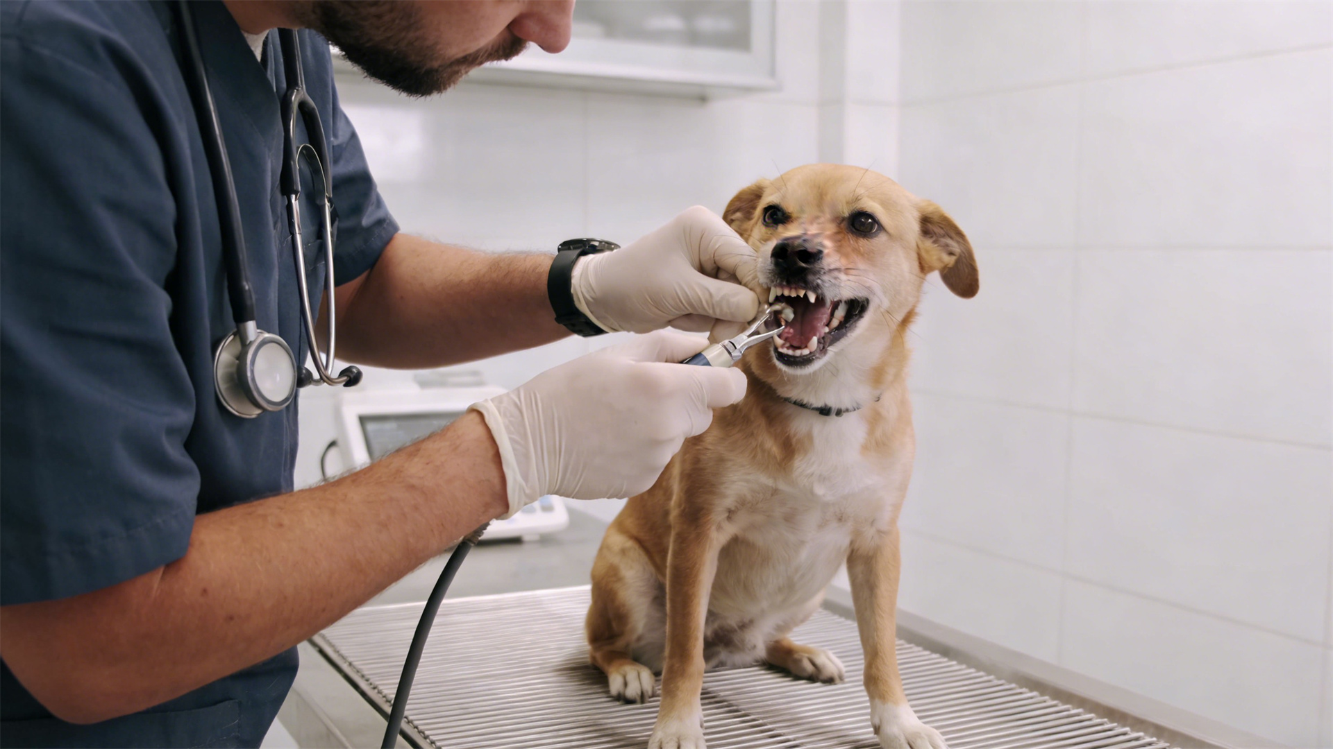 Oral health management