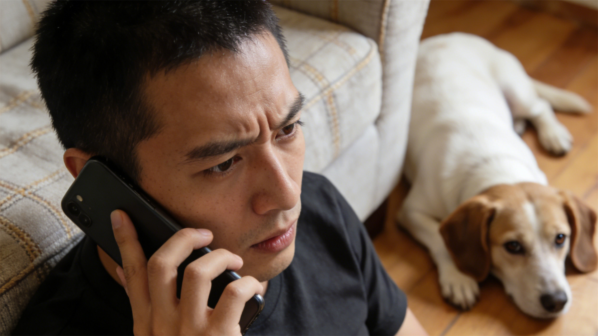 Peritonitis and Sepsis: First Aid and Post-Ingestion Health Management for Dogs