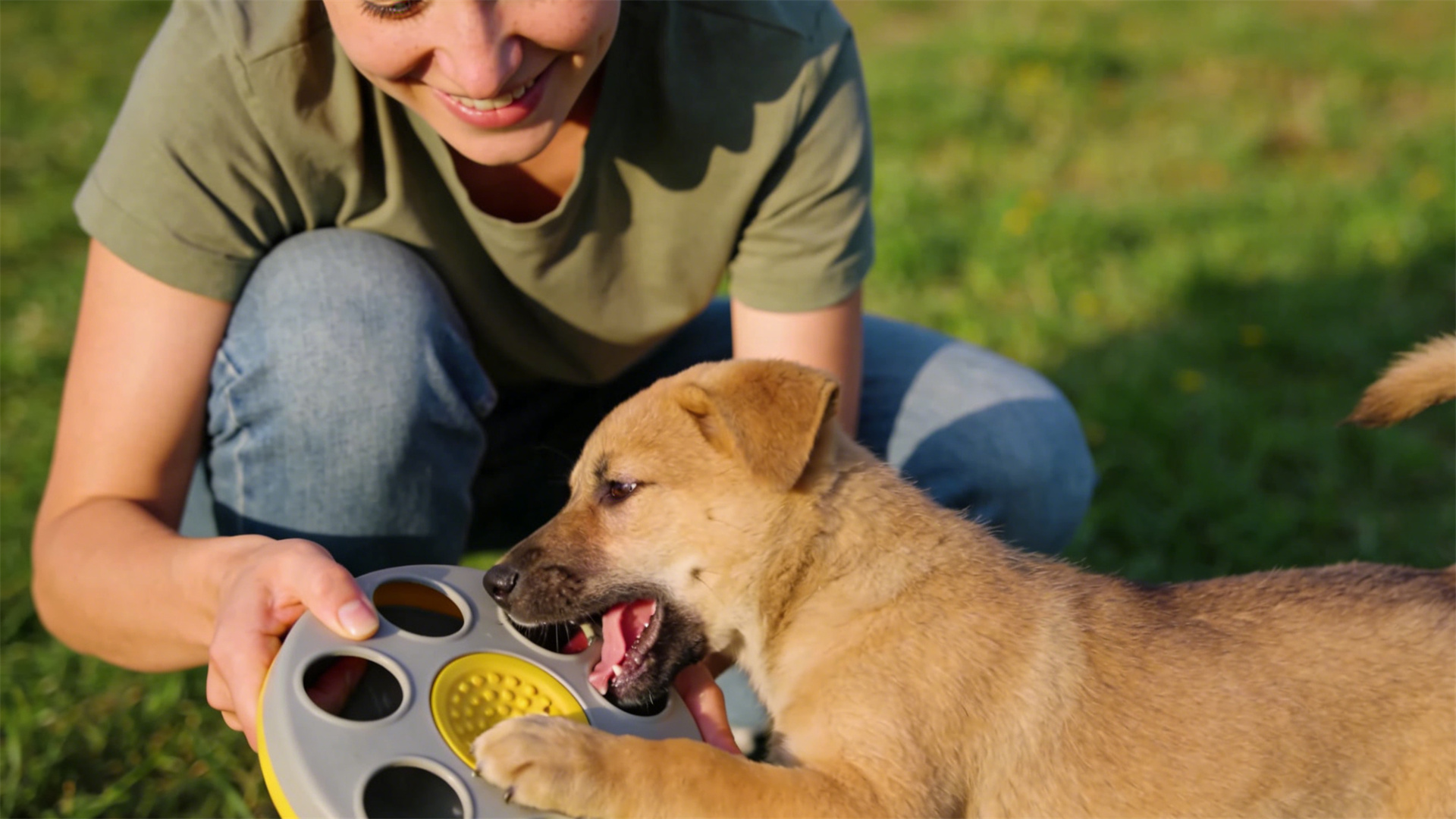Preventing Puppies from Biting Their Hands and Feet: Correct Feedback for Correcting Puppy Biting