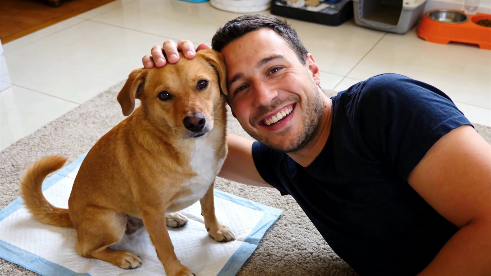 Quick Method for Establishing a Fixed Toileting Habit: How to Build a Conditioned Reflex Using Inducers and Rewards