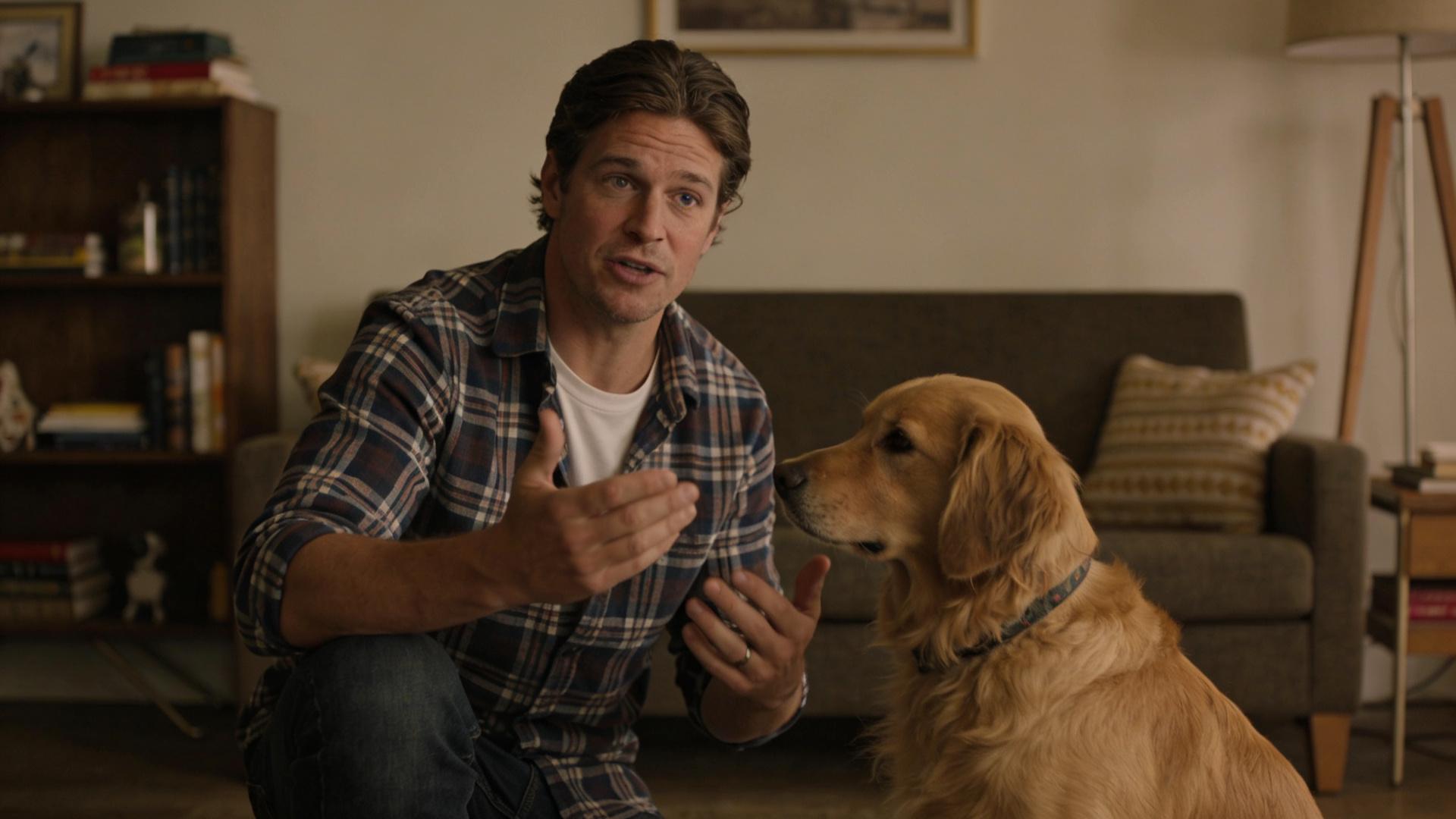 Randomizing rewards: How to keep your dog looking forward to commands