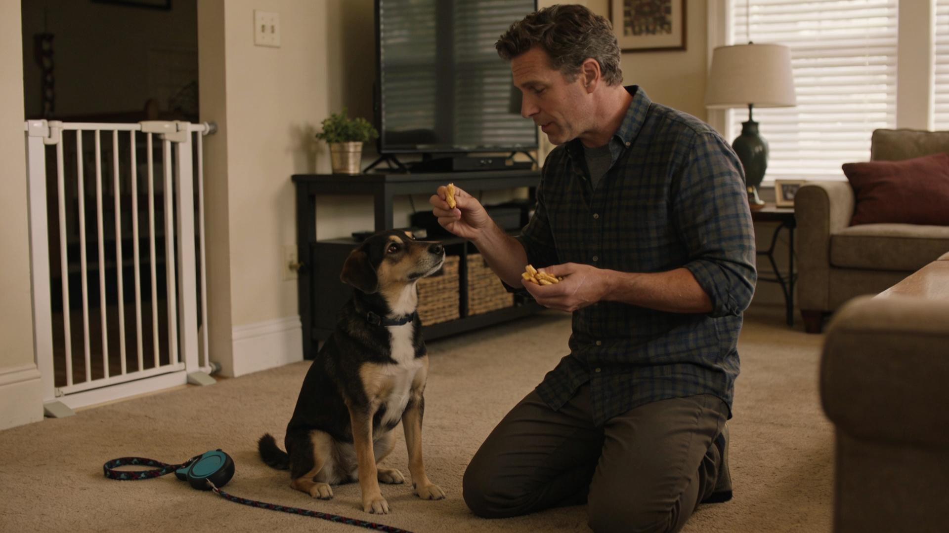 Refrain from jumping on people: Correcting a dog's social etiquette of jumping to greet people when excited.