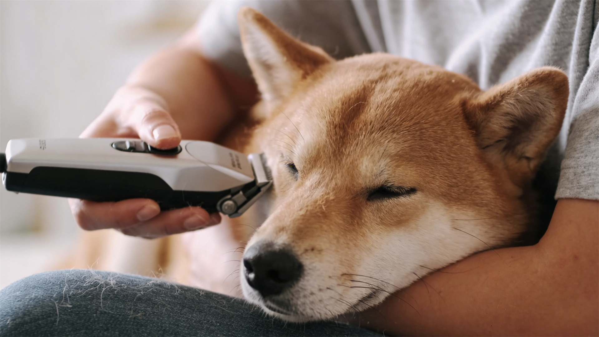 Silent electric shears technology