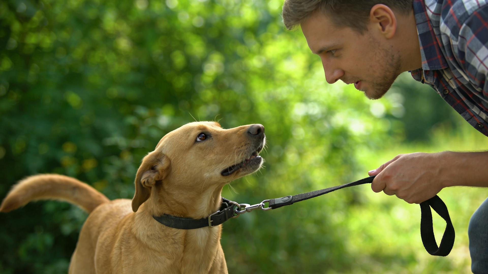 Slack rope following: Using 