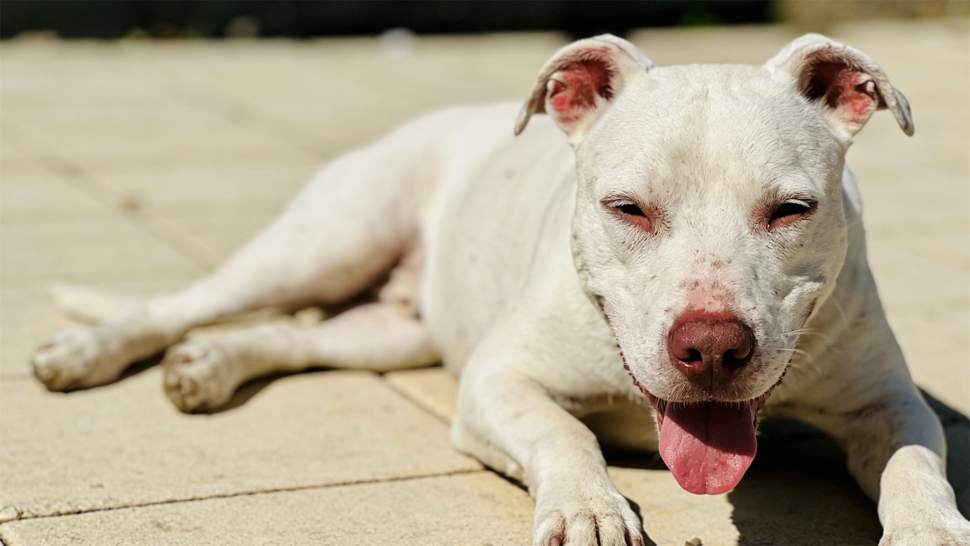 Summer cooling logic