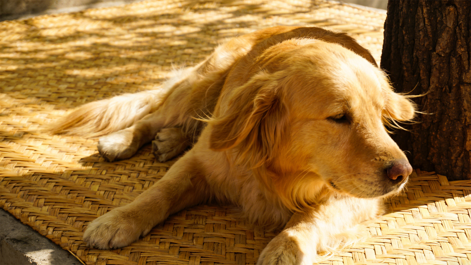 Summer cooling logic