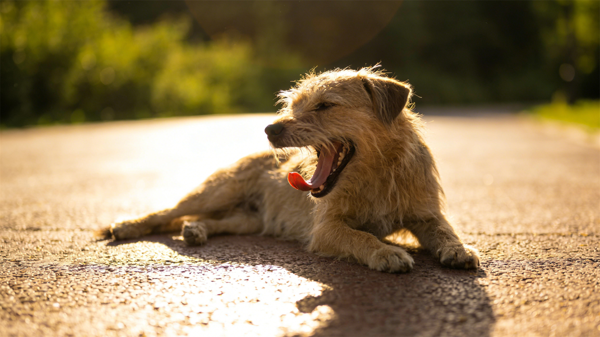 Summer heatstroke first aid: Cooling procedures within the golden 3 minutes and prevention of organ failure