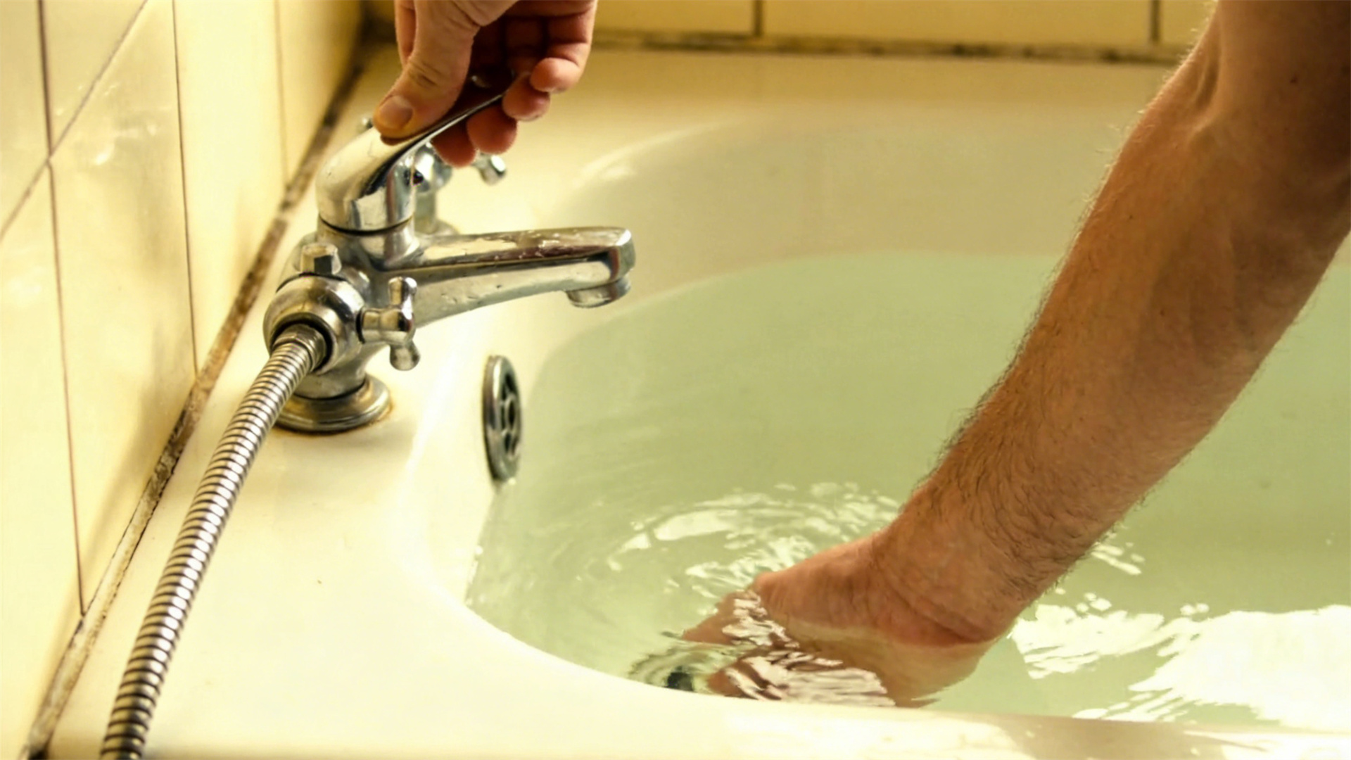 The perfect temperature for dog bath water: scientific advice for protecting the skin's natural oil layer.