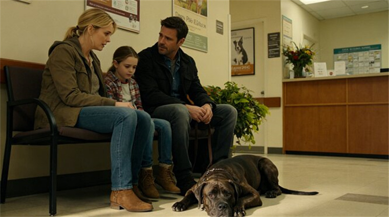 They adopted a 