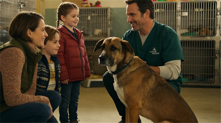 They adopted a 