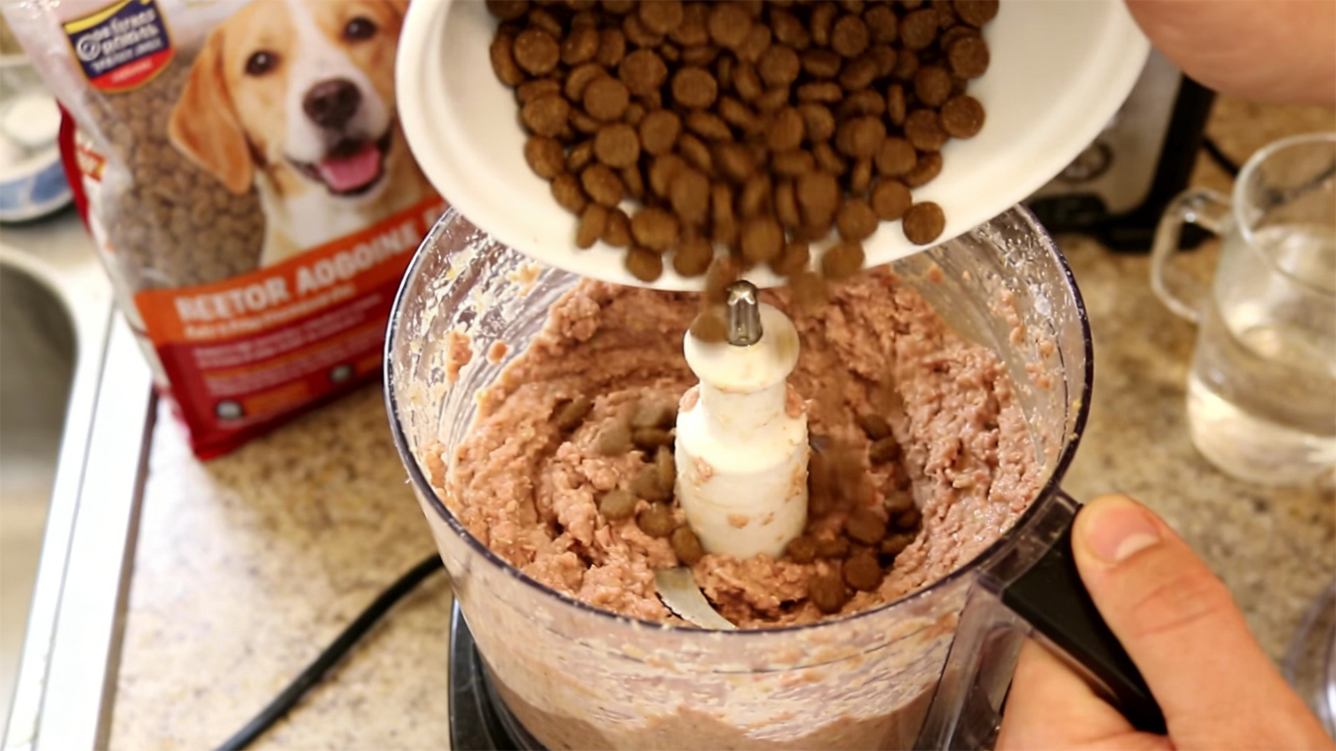 Tooth loss in senior dogs: How to ensure nutritional intake even without teeth?