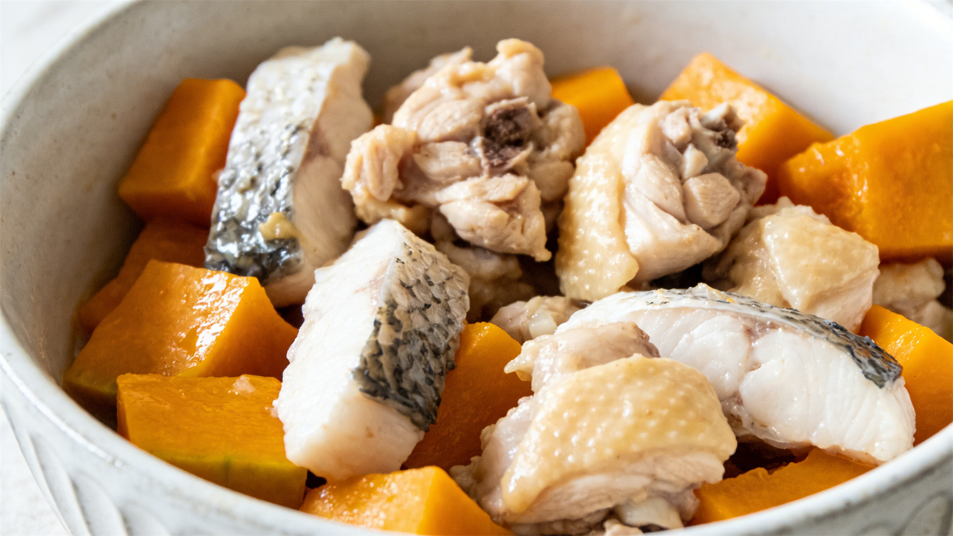 Tooth loss in senior dogs: How to ensure nutritional intake even without teeth?