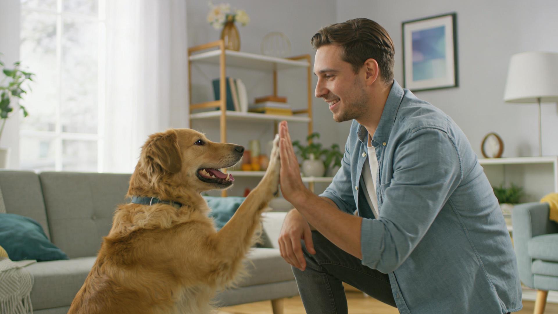 Training Frequency Theory: Why is 10 minutes a day better than 2 hours a week?